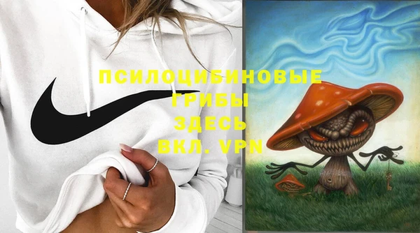 шишки Бронницы